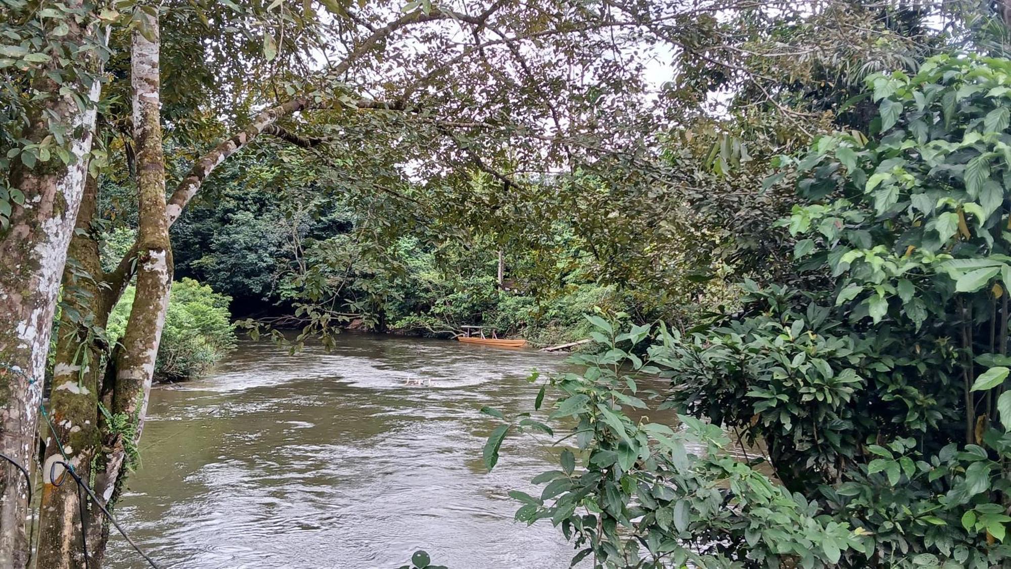 Mulu Tribal Homestay Eksteriør billede
