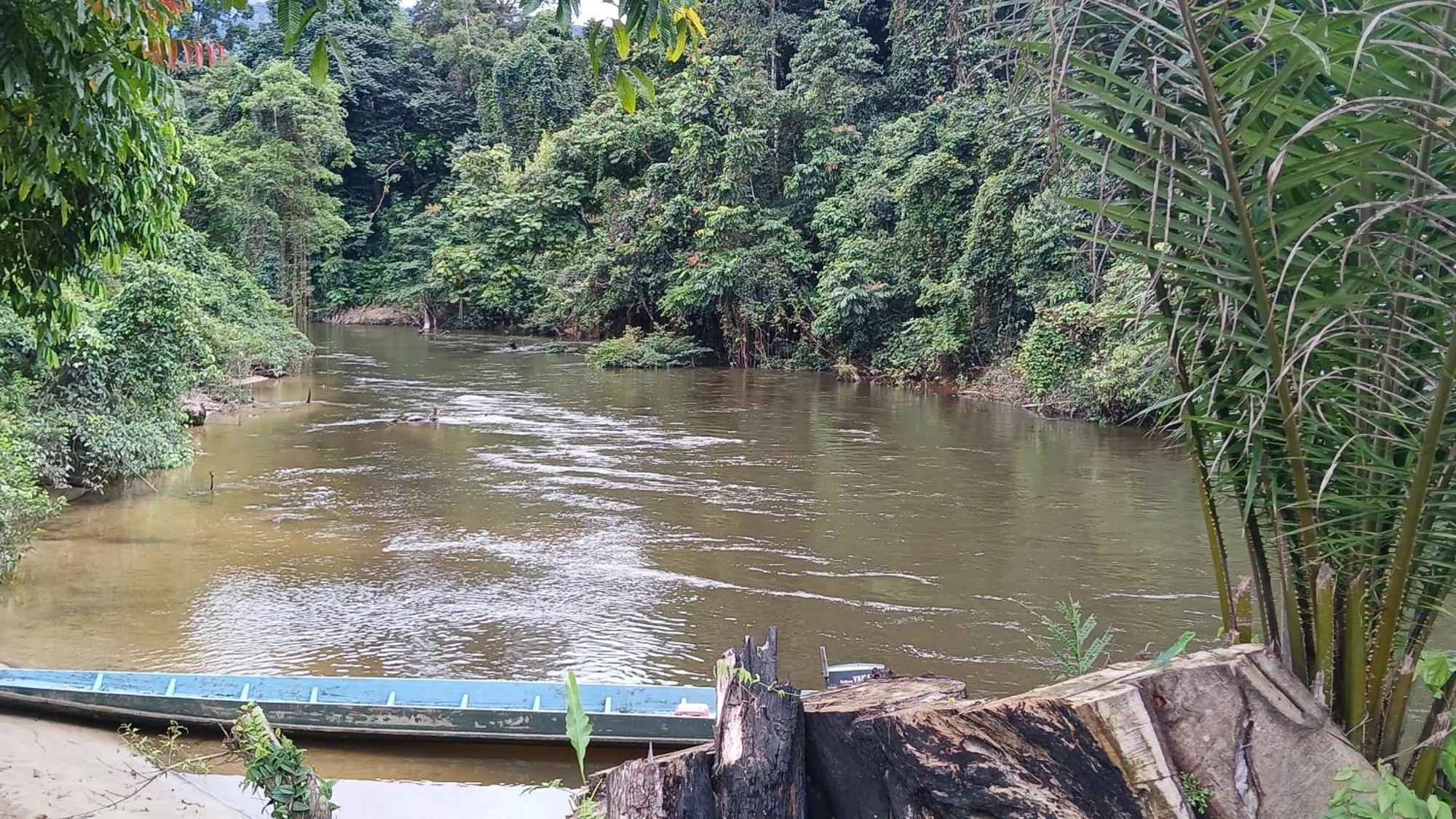 Mulu Tribal Homestay Eksteriør billede