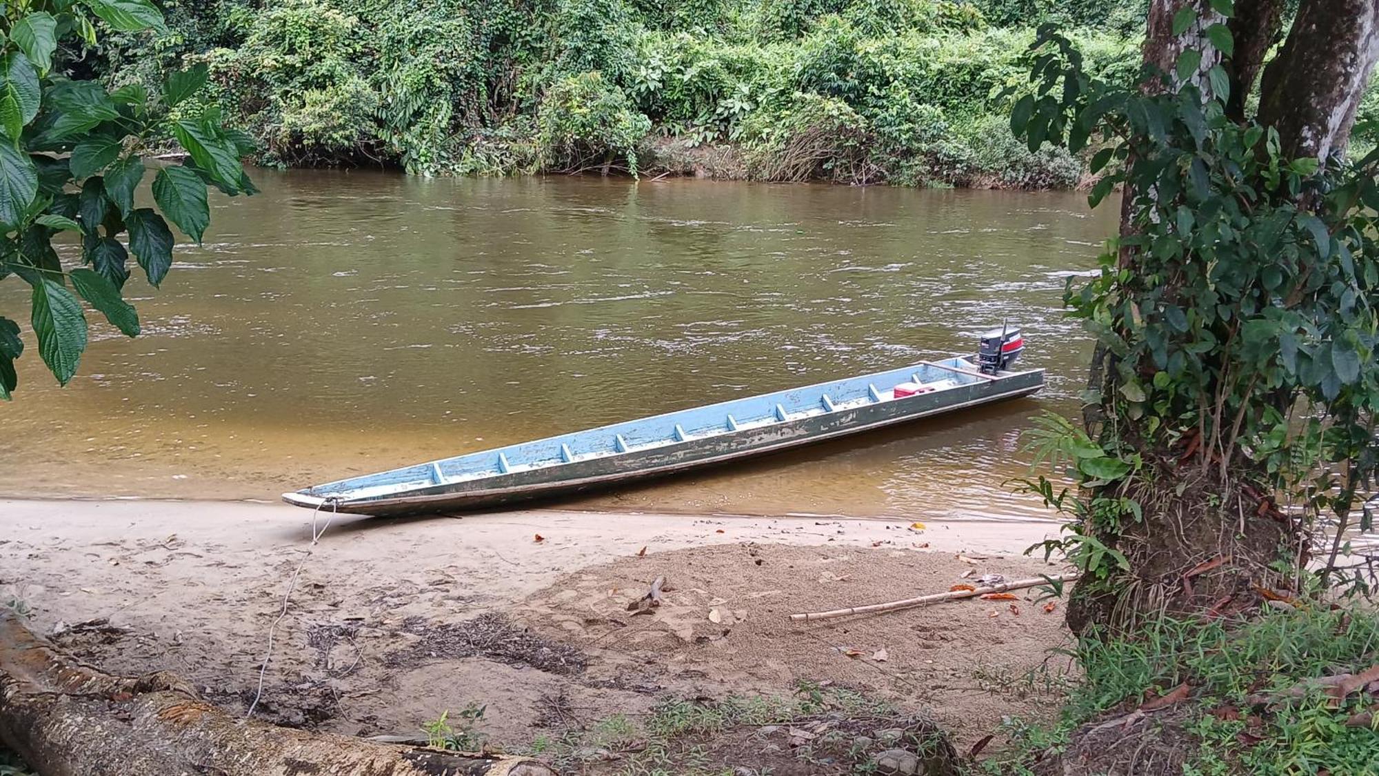 Mulu Tribal Homestay Eksteriør billede